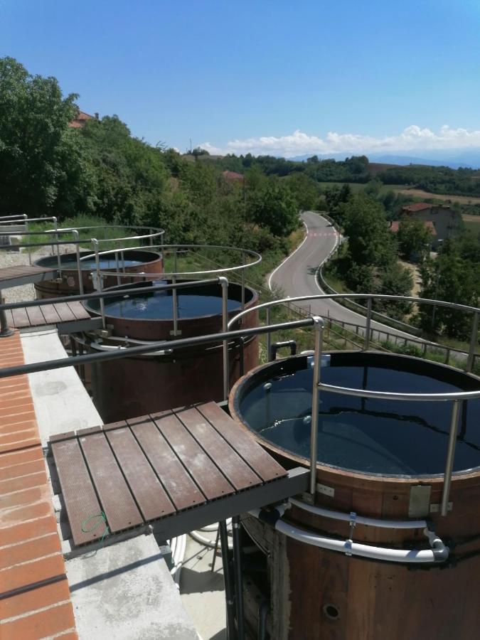 Villa Belvedere Langhe Bed & Breakfast